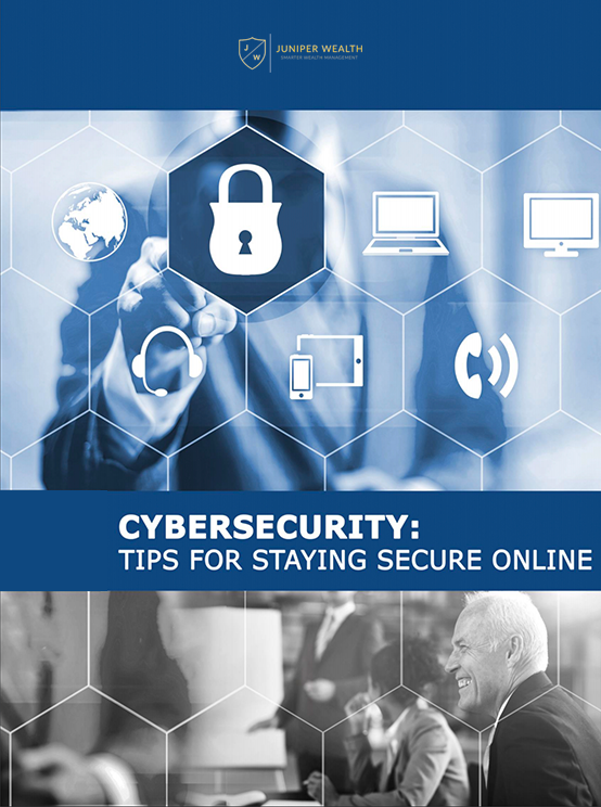 The Cyber Security Guide