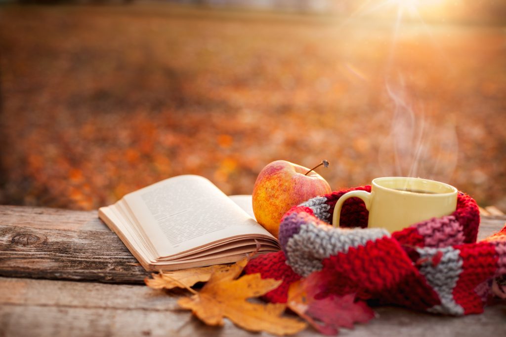 3 Reasons Why Fall Might be the Best Season  Juniper Wealth Management
